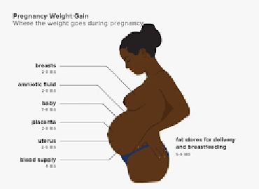 Weight Gain in Pregnancy